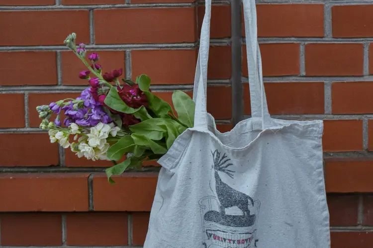 Tote Bag Kanvas, Alternatif Tas Plastik yang Lebih Stylish