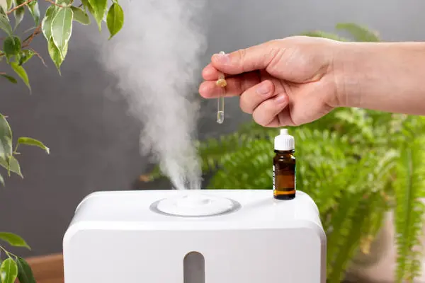 Rumah Bau Apek atau Pengap? Air Purifier dengan Aromatherapy Solusinya!