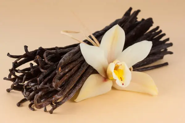 Wangi Vanilla vs Aroma Manis Lainnya, Apa Bedanya?