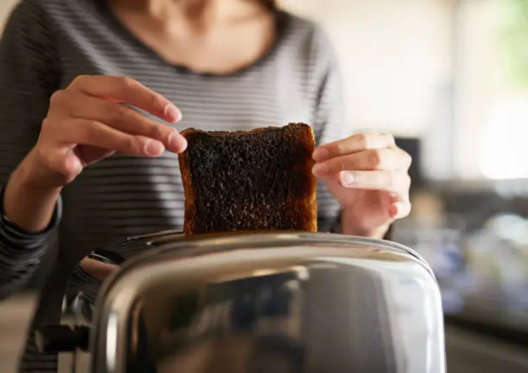 Sudah Punya Toaster tapi Roti Masih Gosong? Begini Cara Menggunakannya yang Benar!