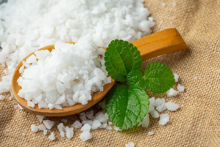 Manisnya Hidup Tanpa Gula Berlebih dengan Stevia