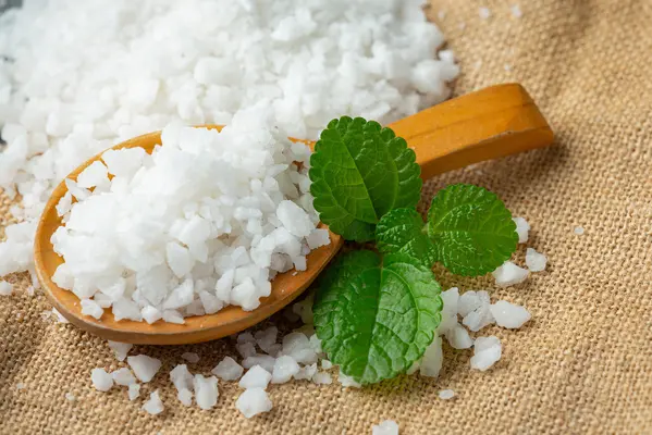 Manisnya Hidup Tanpa Gula Berlebih dengan Stevia