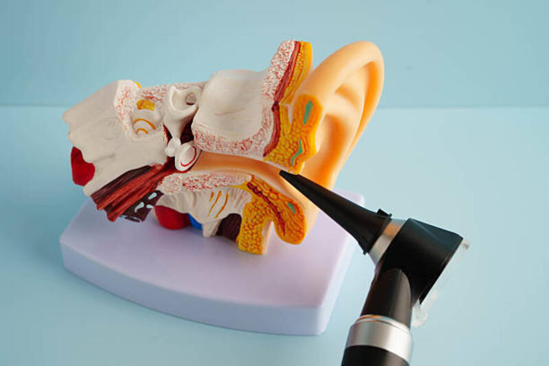 Otoscope with ear model for otolaryngologist or ENT physician doctor examining senior patient ear, hearing loss problem. Otoscope with ear model for otolaryngologist or ENT physician doctor examining senior patient ear, hearing loss problem. otoscope stock pictures, royalty-free photos &amp; images