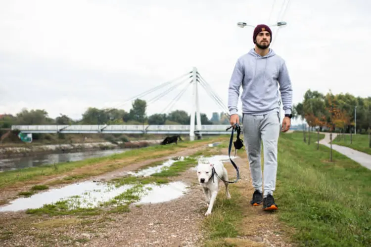 Celana Joger Cepat Melar di Pinggang? Ini Penyebab dan Cara Mengatasinya