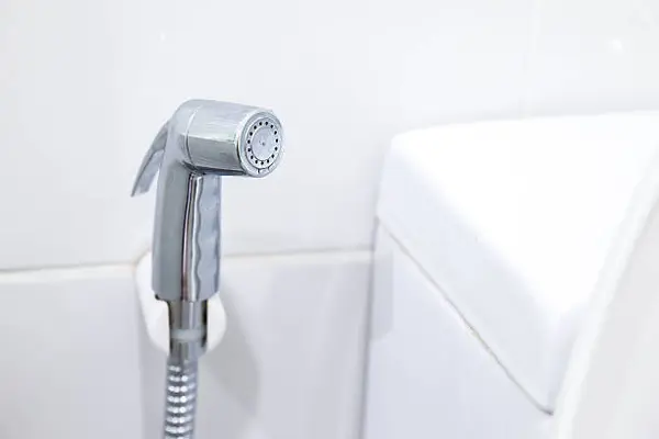 Ini 5 Alasan Di Luar Negeri Jarang Ada Bidet, Sudah Tahu?