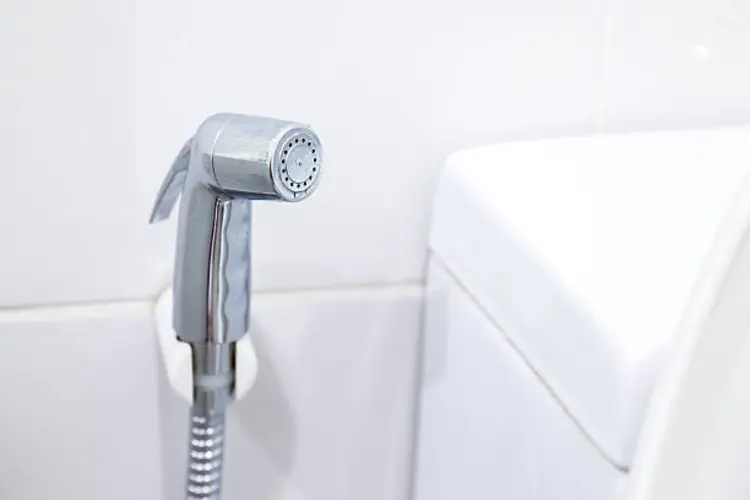 Ini 5 Alasan Di Luar Negeri Jarang Ada Bidet, Sudah Tahu?