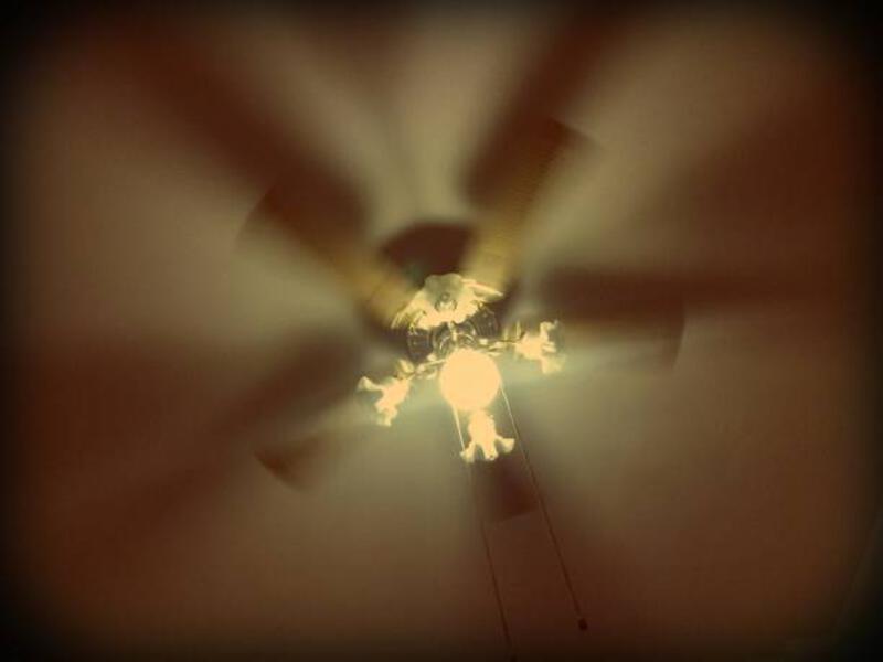 2de846ff-7a14-411f-8b79-7d1ae4567785.jpeg