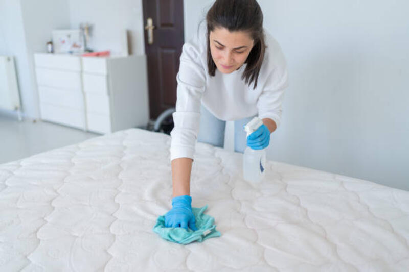 wanita menyemprotkan kain kasur dengan deterjen khusus untuk menghilangkan noda - mites bed potret stok, foto, &amp; gambar bebas royalti