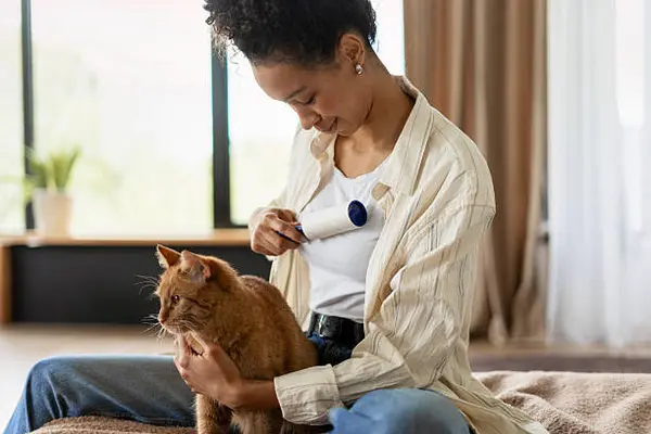 Begini Cara Cepat Bersihkan Bulu Kucing & Anjing dengan Alat Praktis
