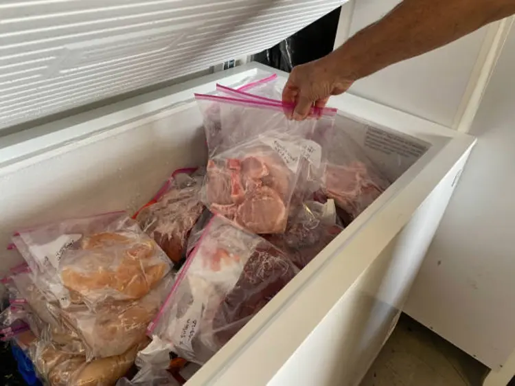 Dapur Bebas Food Waste? Ini Rahasia Si Kotak Dingin, Freezer!