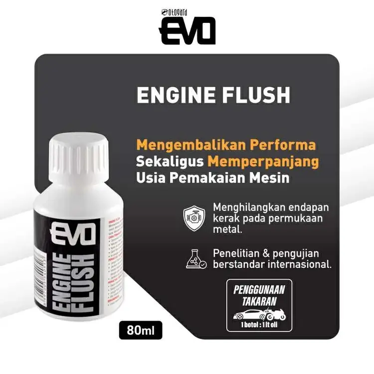 EVO Motor Engine Flush