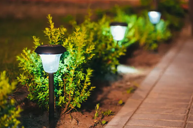 Tips Memilih Lampu Taman Sesuai Gaya dan Ukuran Halaman