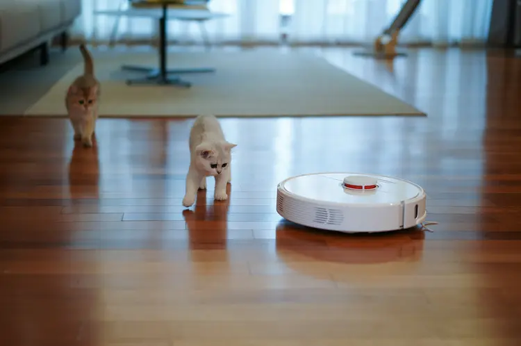 Siapa Sangka? Robot Vacuum Punya Manfaat Tersembunyi buat Lingkungan!