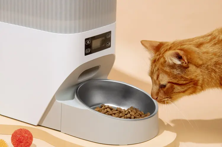 Pet Feeder, Penyelamat Saat Lupa Kasih Makan Anabul