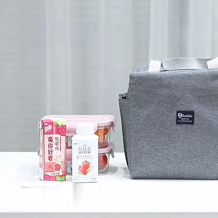 FR-T43 Tas Bekal Lunch Cooler Bag Box Anti Air Makanan Alumunium Foil / Tas Kotak Makanan / Lunch Bag / Tote Bag Bekal