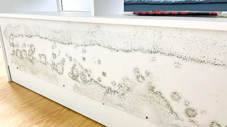 5 Cara Aman Membersihkan Furnitur Kayu yang Berjamur