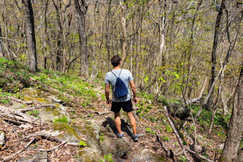 seorang pemuda kembali berdiri berjalan sendirian di hutan hutan di kota desa resor ski wintergreen di jalur pendakian chestnut springs di virginia pada musim semi - drawstring bag potret stok, foto, &amp; gambar bebas royalti