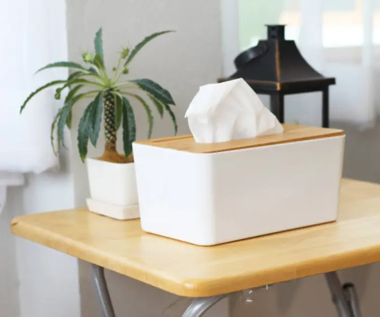 Sering Beli Tissue Kemasan? Kamu Tetap Harus Pindahkan ke Kotak Tissue, Ini Alasannya!