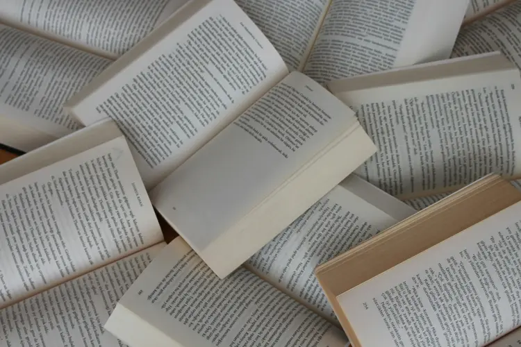 Bingung Cara Belajar Bahasa Inggris? Jawabannya Ada di Rak Buku Impor