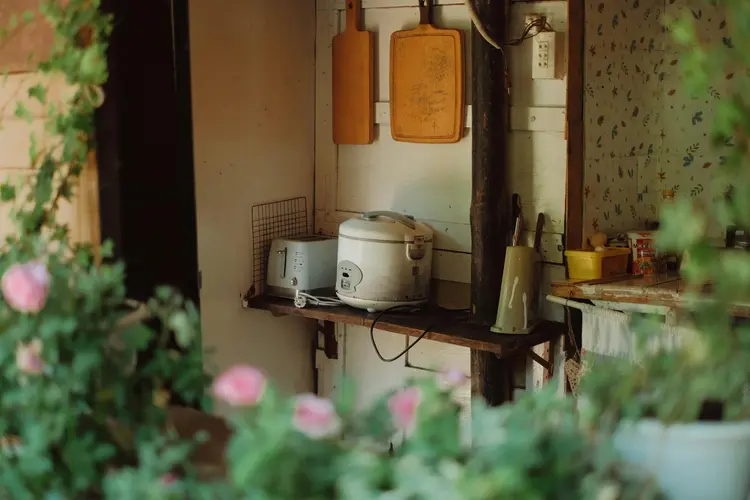 Anak Kos Wajib Punya! Rice Cooker Mini Jadi Kunci Nasi Pulen dan Hemat