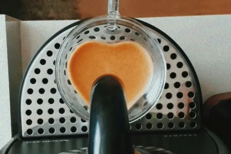 Bikin Jus Buah Sendiri? Wajib Tahu Rahasia Slow Juicer!