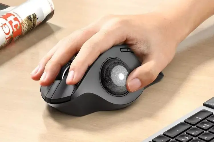 Jangan Beli Mouse Dulu Sebelum Lihat Review ProtoArc EM01 NL Ini!