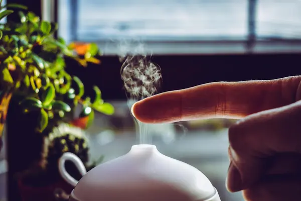 Wajib Punya Humidifier? Ini Manfaat Nyata yang Jarang Dibahas