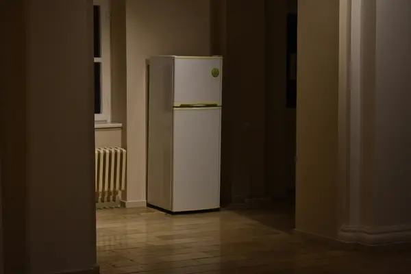 Kulkas Gak Muat Lagi? Saatnya Beralih ke Kulkas 2 Pintu!