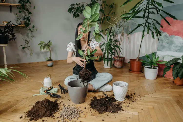Rahasia Panen Melimpah & Sayur Sehat Bebas Kimia Cuma Pakai Pupuk Ini!