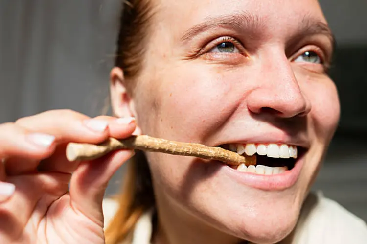 Sikat Gigi dengan Siwak, Punya Banyak Manfaat untuk Kesehatan Mulut 