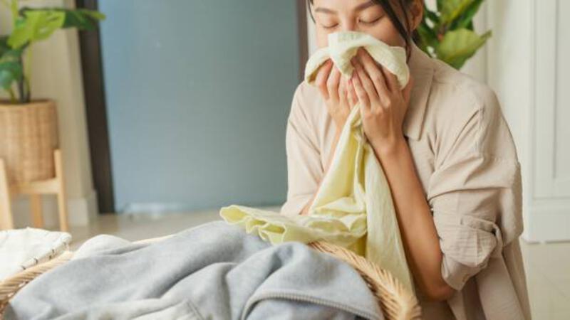 closeup of beautiful young asian woman smelling clean clothes and smiling while doing laundry at home. activity of daily living at house. - pewangi pakaian potret stok, foto, &amp; gambar bebas royalti