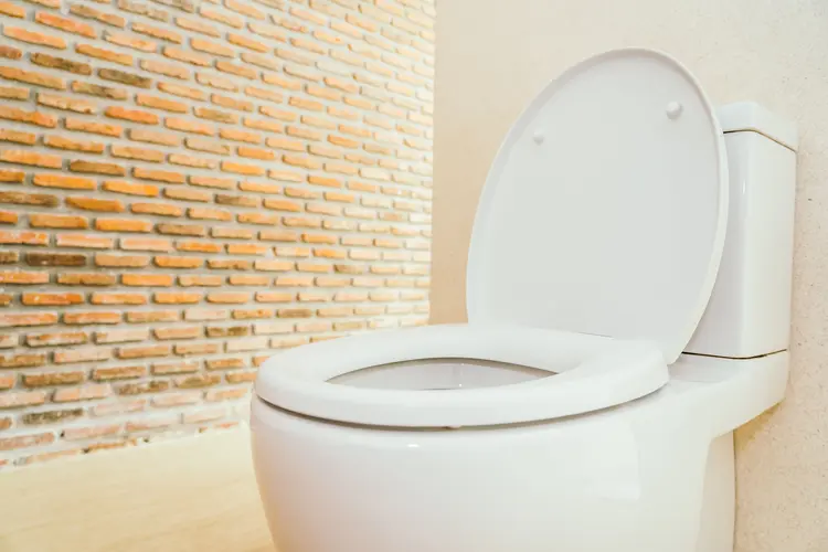 Kecil Tapi Sangat Bermanfaat, Ini Pentingnya Menggunakan Alas Dudukan Toilet!