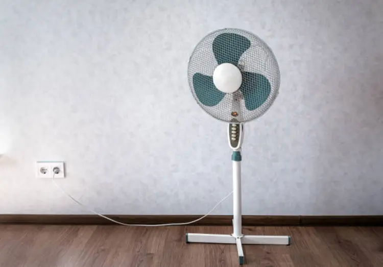 7 Tips Memilih Kipas Angin Berdiri yang Bagus dan Sesuai Ruangan