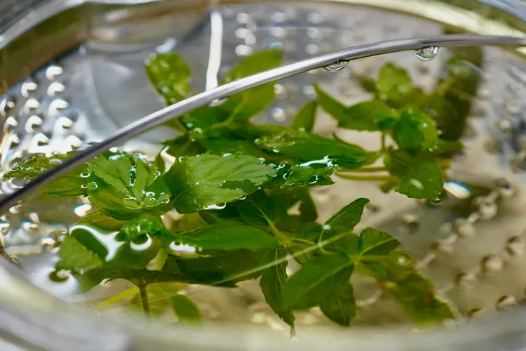 Dari Perut hingga Pikiran, Inilah Manfaat Teh Peppermint yang Menenangkan