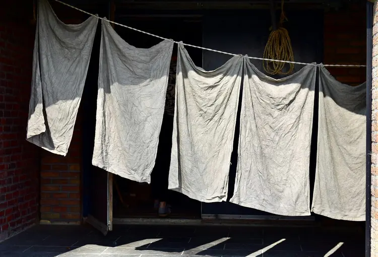 Siapa Sangka, Steamer Baju Punya Segudang Manfaat di Luar Nalar!