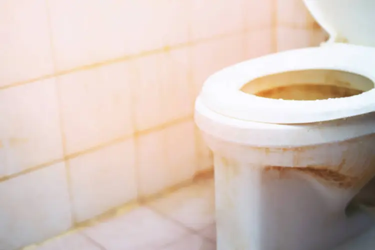 Jangan Anggap Sepele, Ini Dampak dari Toilet yang Kotor