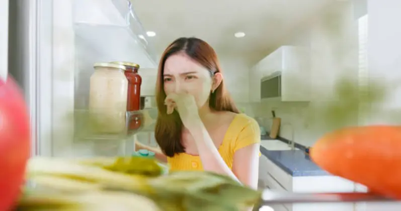 10 Tips Praktis Menghilangkan Bau Tak Sedap di Kulkas dengan Cepat