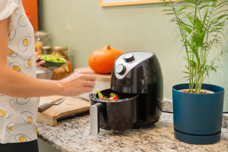 3 Alasan Mengapa Kamu Harus Punya Air Fryer di Rumah