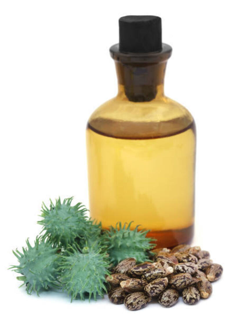 minyak jarak dengan kacang kering dan hijau - castor oil potret stok, foto, &amp; gambar bebas royalti