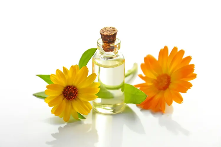 Parfum Lokal Bikin Bangga, Dari Aroma Hujan Tropis hingga Mawar Paling Sophisticated!