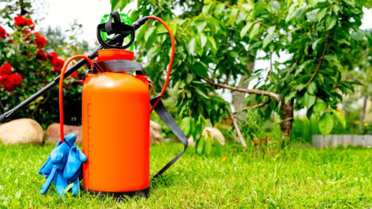 Pressure Sprayer Digunakan untuk Apa Saja?