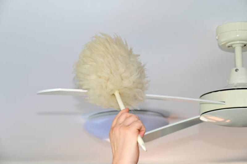 Membersihkan debu dengan kemoceng