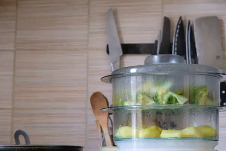 Bingung Memilih Food Steamer yang Sesuai Kebutuhan Rumah Tangga? Ikuti Panduan Ini!