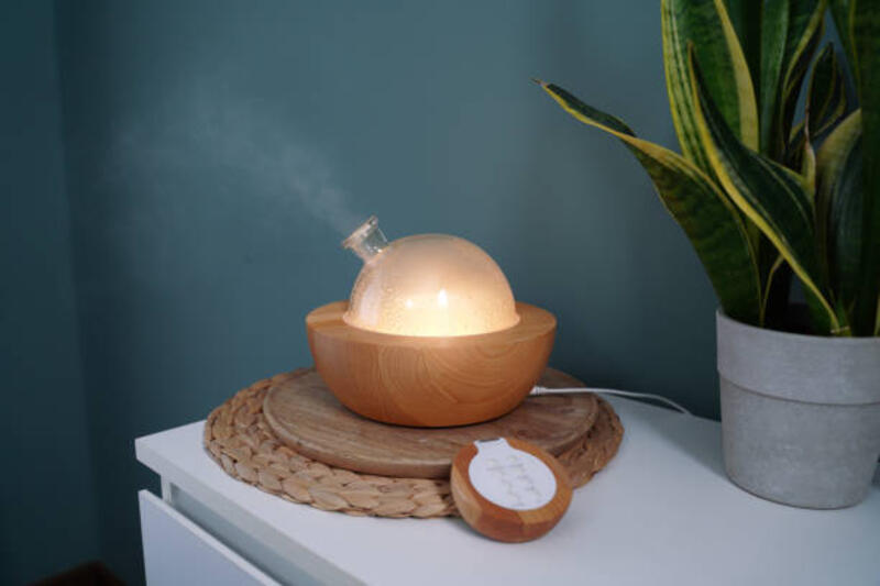 diffusor udara dengan remote kontrol pada kabinet malam, di sebelah tanaman ular. - humidifier unik potret stok, foto, &amp; gambar bebas royalti