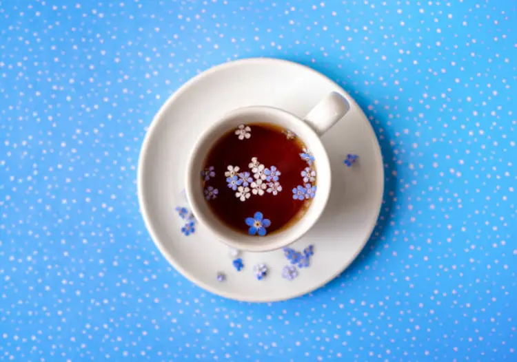 Teh Bunga Forget Me Not, Minuman Herbal untuk Tubuh Lebih Sehat