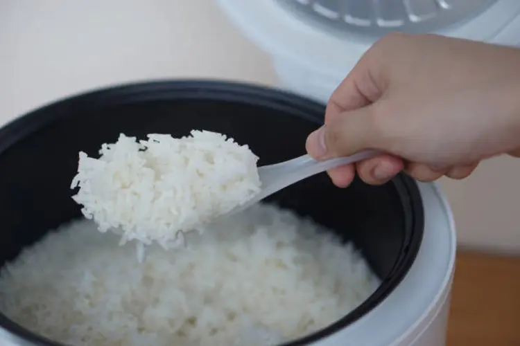 Ini Rahasia Membuat Nasi Pulen dan Matang Sempurna Pakai Rice Cooker