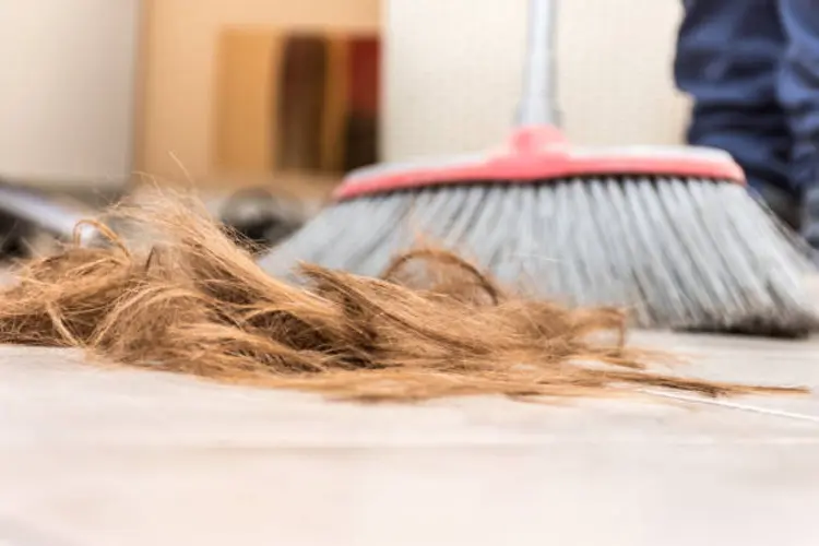 Capek Menyapu Rambut Rontok yang Nggak Habis-Habis? Ini Solusinya!
