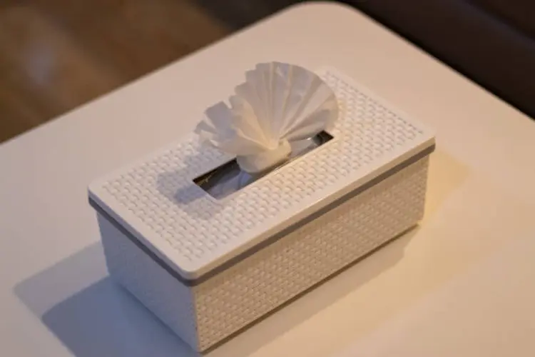 5 Tips Menata Wadah Tissue Biar Ruangan Terlihat Lebih Bersih dan Estetik