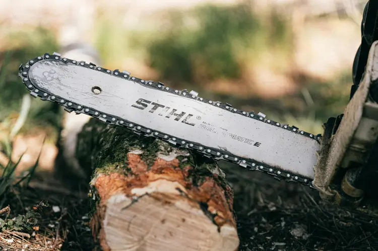 Simak! Panduan Lengkap Chainsaw, Dari Hobi Hingga Profesional