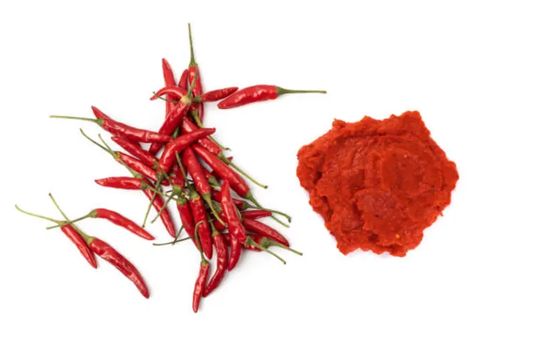Sambal Bukan Sekadar Pelengkap, Ini Manfaatnya untuk Tubuh